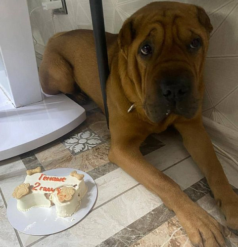 ���������� ����� �������� � �������� ������ �� ������� 