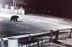 � ������� ��������� �������, ��������� � �����