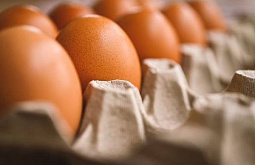 60 миллионов яиц и 200 тонн мороженого экспортировали из Иркутской области 