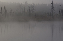 � ������� ������ �� ��������� ���������� ��� 