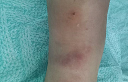 ���������� ������� ������ ����� ����� ������ 