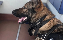 ������ ���� ������� ��������� � ������ �� ����������������