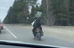 � ��������� ������� ����������� ���� �������������