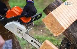 � ������� ����������� �������� ���������