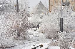 � ������ ����-��� 20 ������ �������� ����� �������