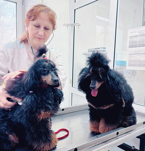 � ����-��� � ����������� ���������� ����� ����� � ����