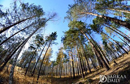 � ������� ������ ������� ��������� ������ � ������� ���� 