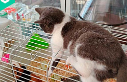 ���������� � ���������� ���������� � ������ ���� � ������