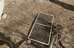 ������� ������� ������� ���� �� ���������� ������ ��������� �����