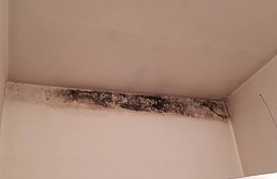 ������ � ������� ������� ����� ������� ������������� �������� 