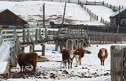 ������� ����� � ���-10 �������� ������ �� �������� ��������� ���