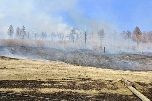 � ������� 28 ������ ����� ���� ������ �����