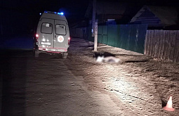 � ������� ��������, �������� �������, ���� 6,5 ���