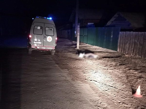 � ������� ��������, �������� �������, ���� 6,5 ���