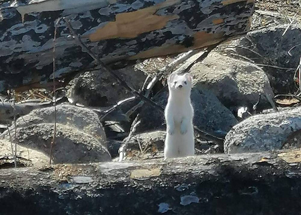 � ������� ������� ������� ���� ��������� 