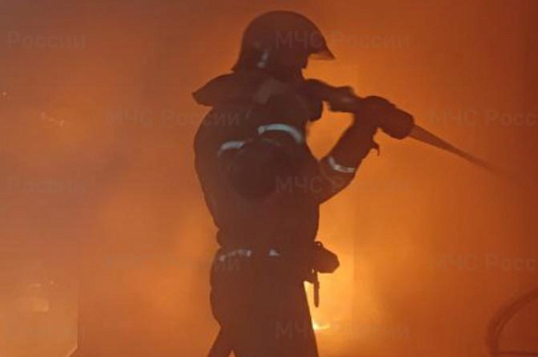 � ����-��� ����� �������