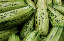 ��������� � ������� ��������� �������� ���, ��� ������ ����������� ���� �������