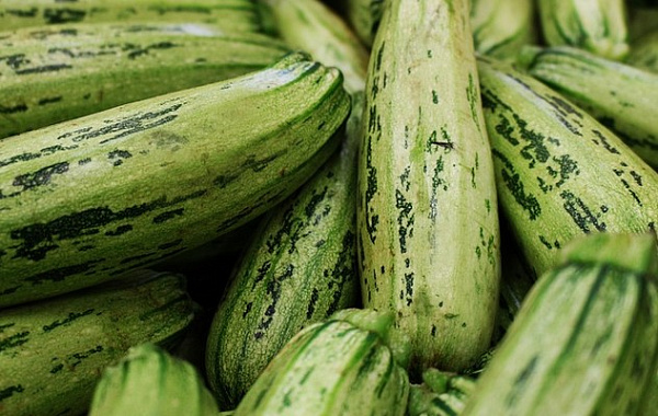 ��������� � ������� ��������� �������� ���, ��� ������ ����������� ���� �������