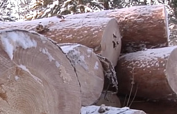 � ������� ������ ����� ������� �������� ���������