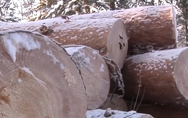 � ������� ������ ����� ������� �������� ���������