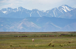 �������� ��������� ������� ������� �������� �������� �������