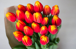 � ����-��� ������� ����������, ����� ������� �� 8 ����� ������ 