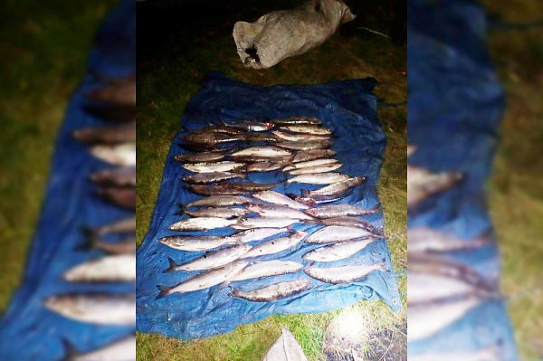 ���� � ������� �������� ������ ������������ �����