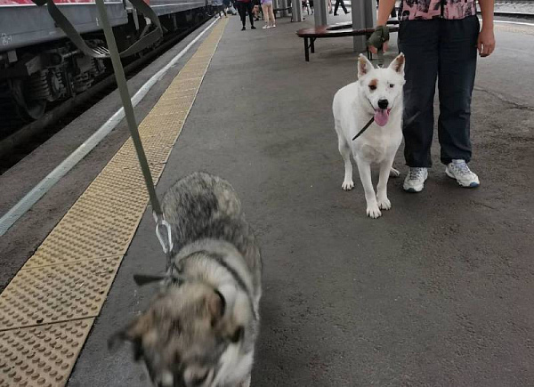 ��������� �������� ���� ����� �� ����-���, ���� �� ��� ������� 