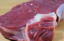 � ������� ������������� 800 �� ��������� ��������� �������������