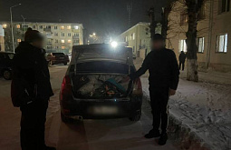 20-������ ����-������ ������� ����������� ������ 