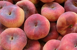 � �������� ���������� 750 �� ������� �������� 