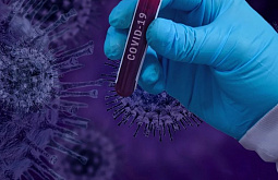 � ������� �������� ������� �������, ������������ COVID-19 