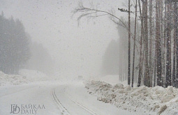 � ������� ������� ����� � �� -37