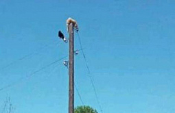 � ������� ������ ����, ������������ �� ������ ��� ���