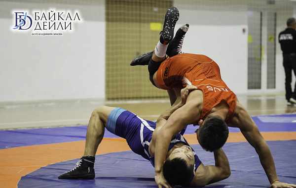 ����� ������� ������ ������� � ���������� ������������ �������