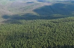 ������� ����� �������� ��������� �������� � �������