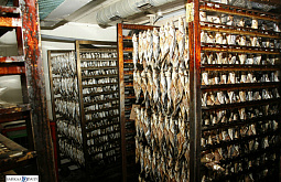 ����� ���������� ������: ������������ ��� �� ������� ����� ���� �������� 