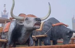 � ������� �������� ���-������ � ����� ������, �������� ����