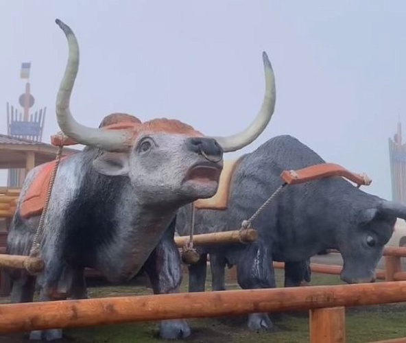 � ������� �������� ���-������ � ����� ������, �������� ����