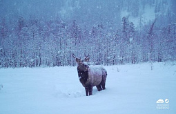 � ������� ����������� ����� ���������� ��������� � ������ 