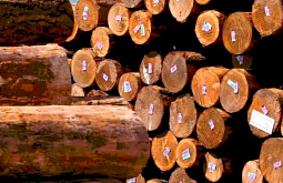 ����� ���� ������ � ������� ������ 17,8 ����� ���������� ����������� ���� 