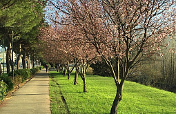 ����-��� ����� �������� ������ ������ �� 600 �������� 