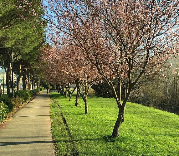 ����-��� ����� �������� ������ ������ �� 600 �������� 