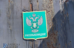 � ������� ������ ����� � �������� ��������� ��������� ��������