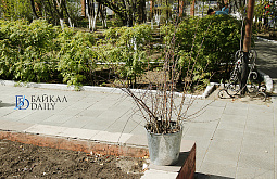 � ����-��� �������� ��������� �����