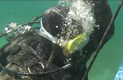 ���������� ��������� � ������ �� ������������� �������