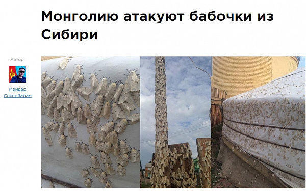 �������� ������� ������� �� ������