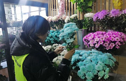 � ��������� ��������� ����-��� ������ ������� �������������� ����� 