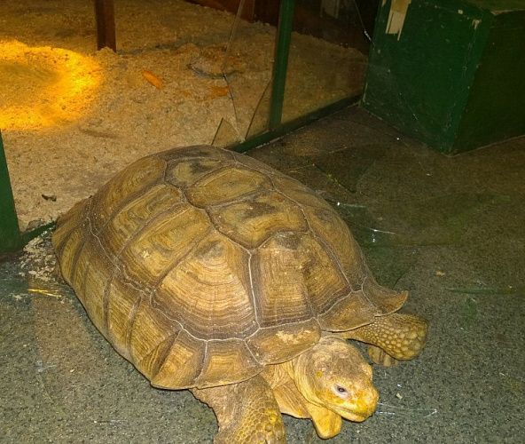 ���������� �������� ������� ������ � ������� � ��������� ���������� (����)