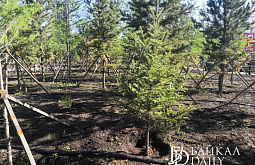 ������� ����� ������ � ����� ���� ������ �� ���������� ���